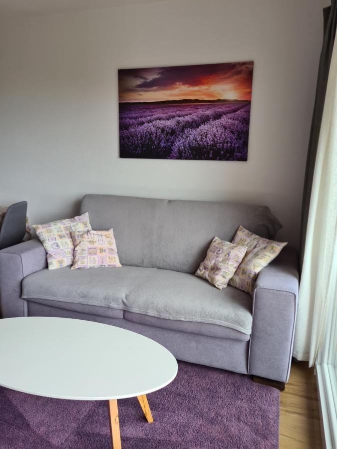 Apartman Luka Novigrad Istria Esterno foto