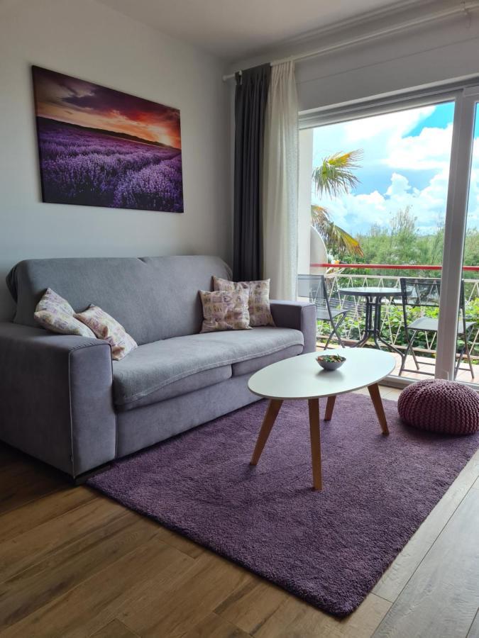 Apartman Luka Novigrad Istria Esterno foto